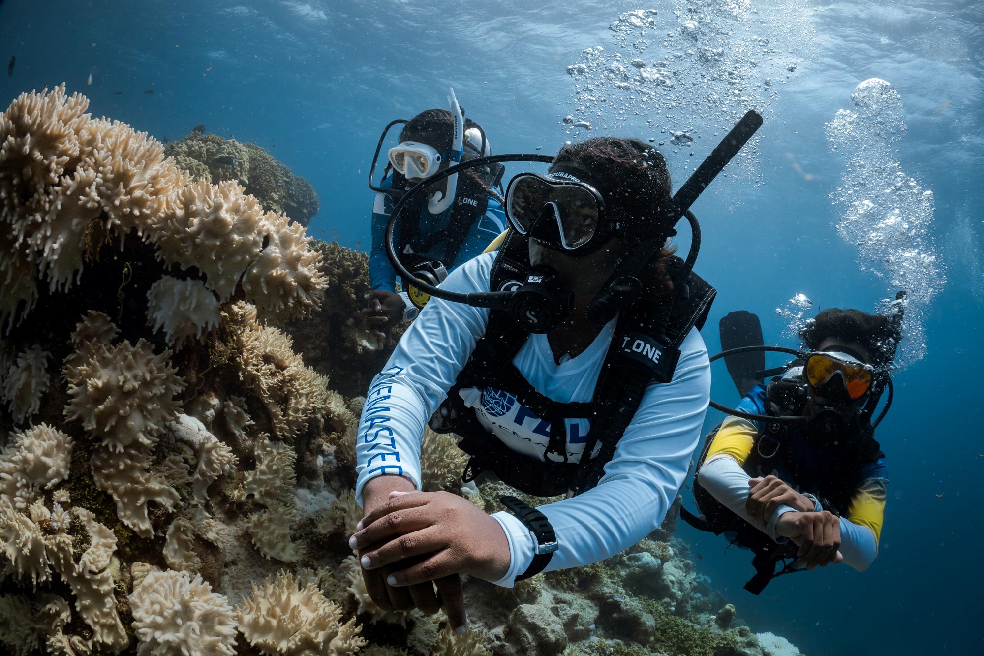 Three scuba divers exploring the ocean