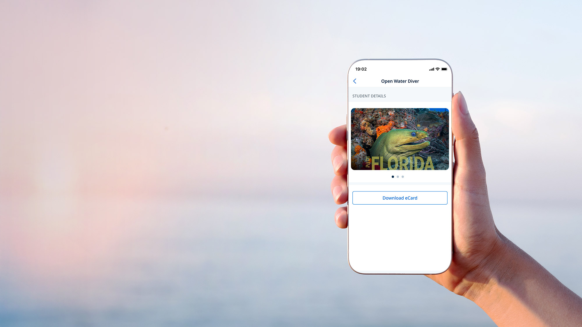 mobile card of a morray eel - certification cards