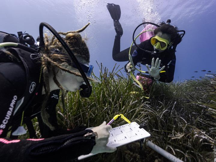Two divers surveying the ocean bed.